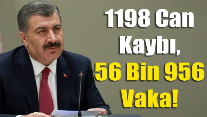 1198 Can Kaybı, 56 Bin 956 Vaka!