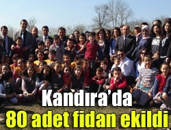 Kandırada 80 adet fidan ekildi