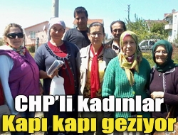 CHPli kadınlar kapı kapı geziyor