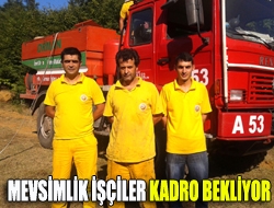 Mevsimlik işçiler kadro bekliyor