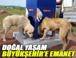 Doğal yaşam Büyükşehire emanet