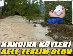 Kandıra köyleri sele teslim oldu