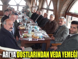 Arıya dostlarından veda yemeği