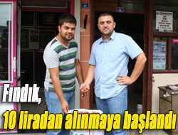 Fındık, 10 liradan alınmaya başlandı