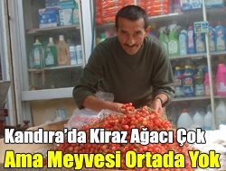 Kandırada kiraz ağacı çok ama meyvesi ortada yok