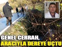 Genel cerrah, aracıyla dereye uçtu