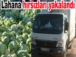 Lahana hırsızları yakalandı