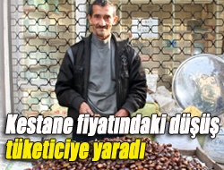 Kestane fiyatındaki düşüş tüketiciye yaradı