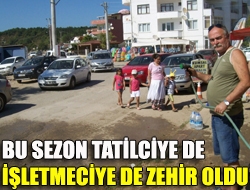 Bu sezon tatilciye de işletmeciye de zehir oldu