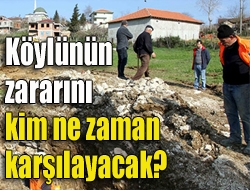 Köylünün zararını kim ne zaman karşılayacak?