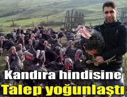 Kandıra hindisine talep yoğunlaştı