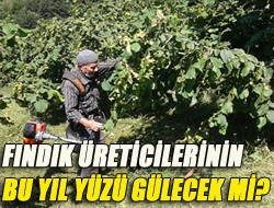 Fındık üreticilerinin bu yıl yüzü gülecek mi?