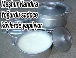 Meşhur Kandıra Yoğurdu