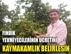 Fındık Yevmiyecilerinin Ücretini Kaymakamlık Belirlesin