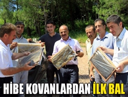 Hibe kovanlardan ilk bal