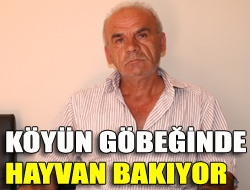 Köyün göbeğinde hayvan bakıyor