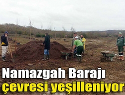 Namazgah Barajı çevresi yeşilleniyor