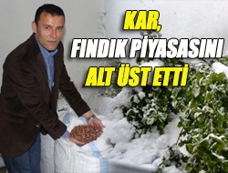 Kar, fındık piyasasını alt üst etti