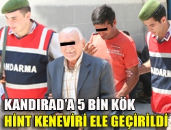 Kandırada 5 bin kök Hint keneviri ele geçirildi