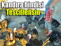 'Kandıra hindisi tescillensin'