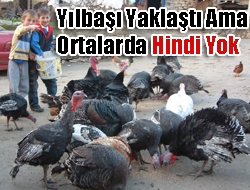 Yılbaşı yaklaştı ama ortalarda hindi yok