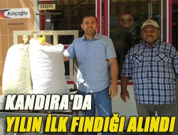 Kandıra'da yılın ilk fındığı alındı