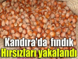 Kandıra'da fındık hırsızları yakalandı