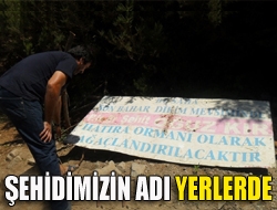 Şehidimizin adı yerlerde