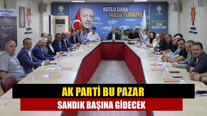 AK Parti bu Pazar sandık başına gidecek