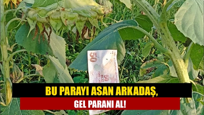 Bu parayı asan arkadaş. Gel paranı al!