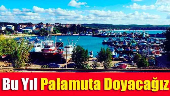 Bu yıl palamuta doyacağız