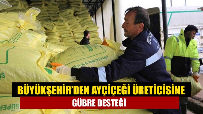 Büyükşehir’den ayçiçeği üreticisine gübre desteği