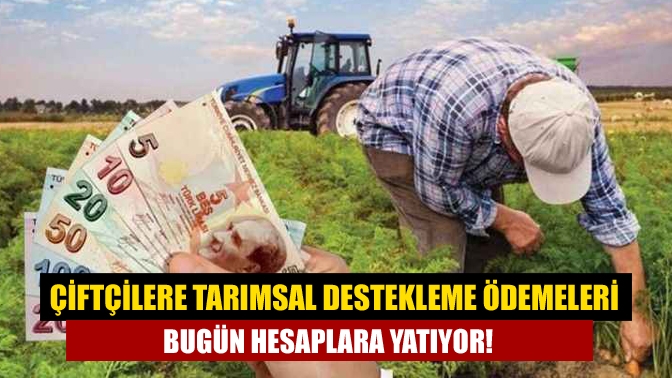 Çiftçilere tarımsal destekleme ödemeleri bugün hesaplara yatıyor!