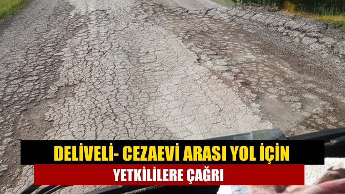 Deliveli- Cezaevi arası yol için yetkililere çağrı