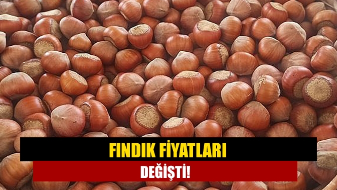 Fındık fiyatları değişti!