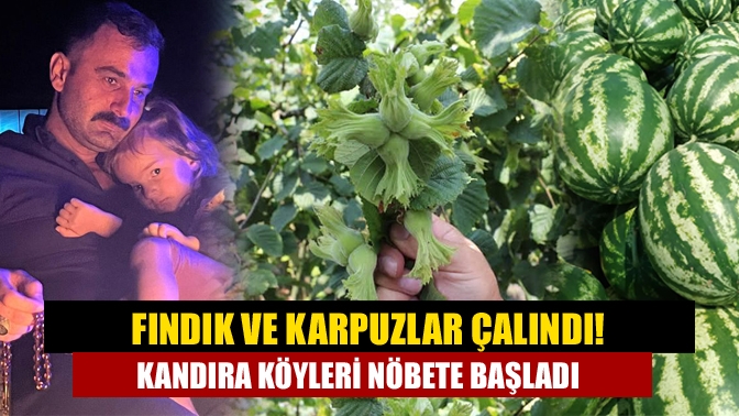 Fındık ve karpuzlar çalındı! Kandıra Köyleri nöbete başladı