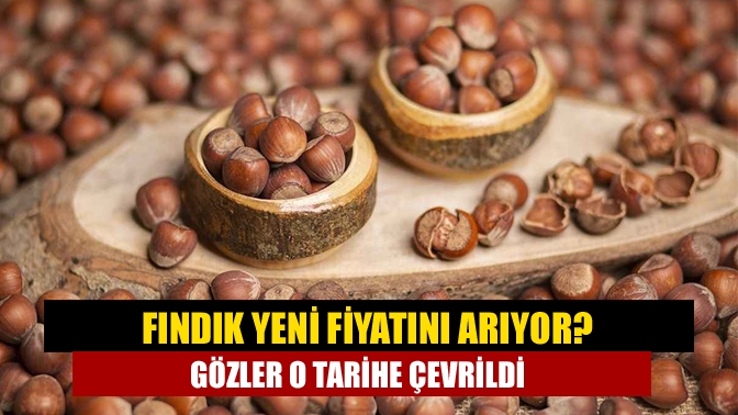 Fındık yeni fiyatını arıyor? Gözler o tarihe çevrildi