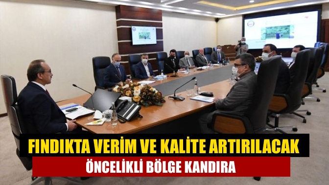 Fındıkta verim ve kalite artırılacak, Öncelikli bölge Kandıra