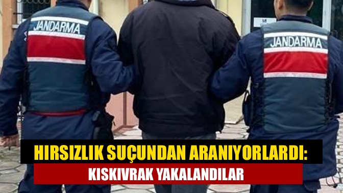 Hırsızlık suçundan aranıyorlardı: Kıskıvrak yakalandılar