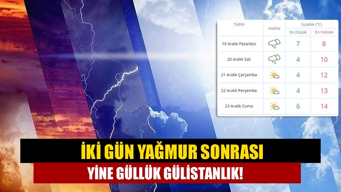 İki gün yağmur sonrası yine güllük gülistanlık!