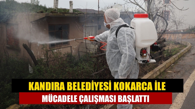 Kandıra Belediyesi Kokarca İle Mücadele Çalışması Başlattı