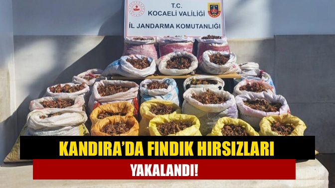 Kandıra’da Fındık hırsızları yakalandı!