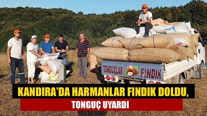 Kandıra’da Harmanlar Fındık Doldu, Tonguç Uyardı