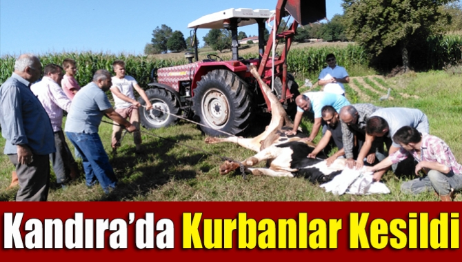 Kandıra’da kurbanlar kesildi