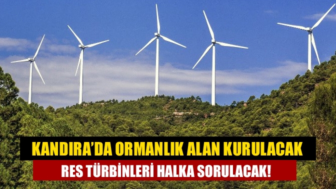 Kandıra’da ormanlık alan kurulacak RES türbinleri halka sorulacak!