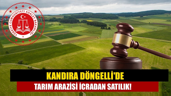 Kandıra Döngellide tarım arazisi icradan satılık!