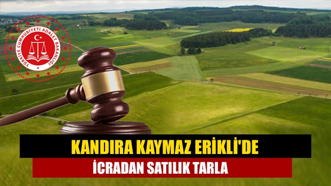 Kandıra Kaymaz Eriklide icradan satılık tarla