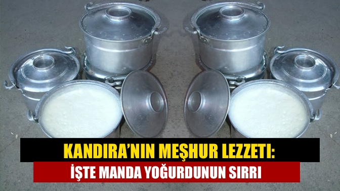 Kandıra’nın Meşhur Lezzeti: İşte Manda Yoğurdunun Sırrı