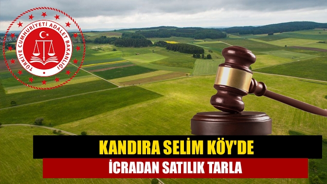 Kandıra Selim Köyde icradan satılık tarla