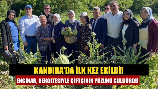 Kandırada ilk kez ekildi! Enginar, rekoltesiyle çiftçinin yüzünü güldürdü